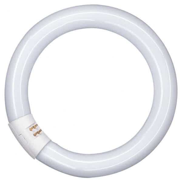 T8/T9 Circular Fluro